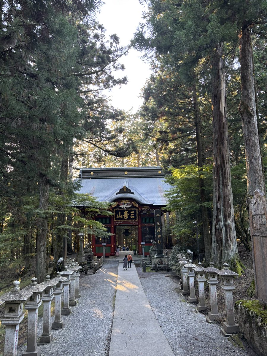 やまじ tweet media