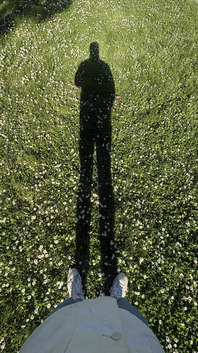 ILovSosa tweet media