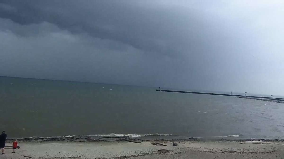 Allan Nosoff tweet media