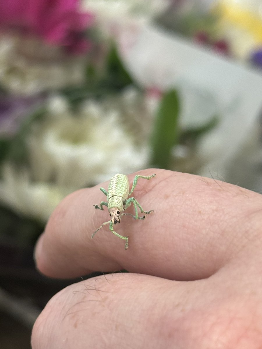 ang • ⊥ \\ tweet media