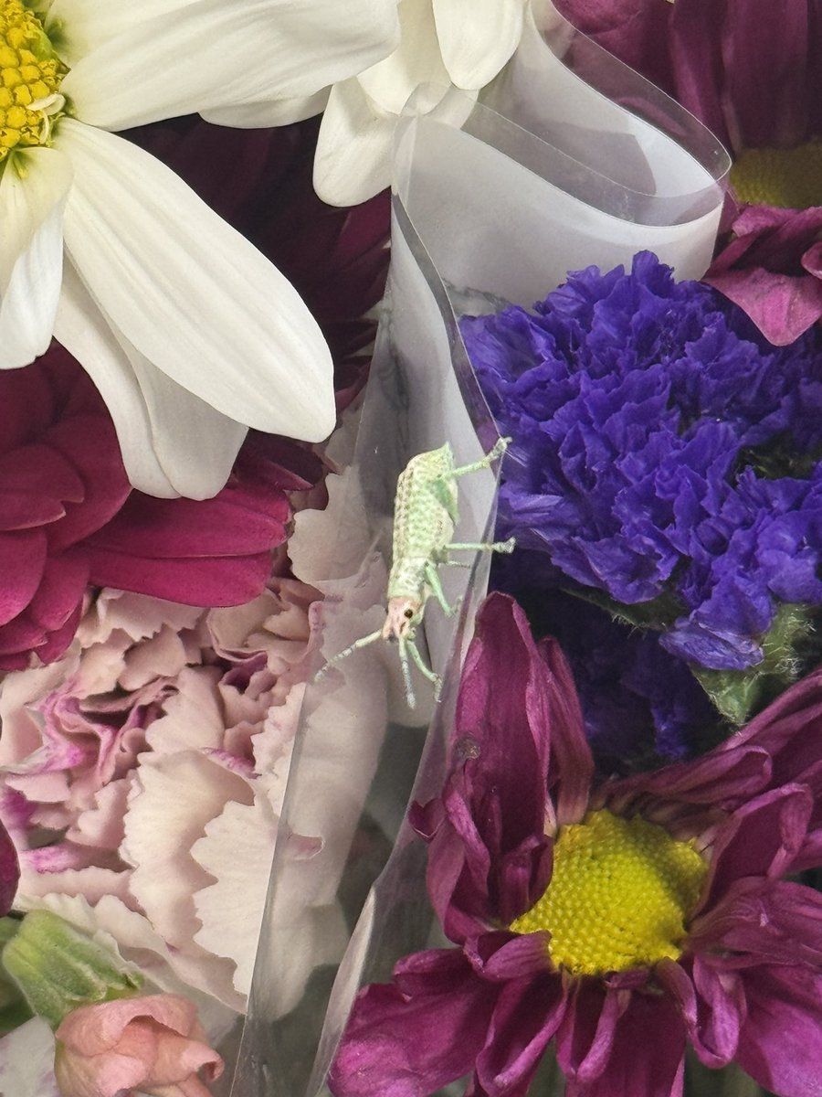 ang • ⊥ \\ tweet media