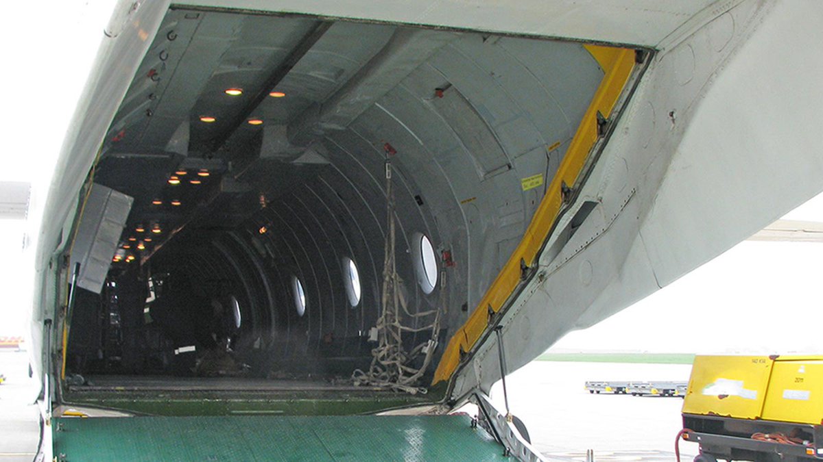 Special Kherson Cat 🐈🇺🇦 tweet media