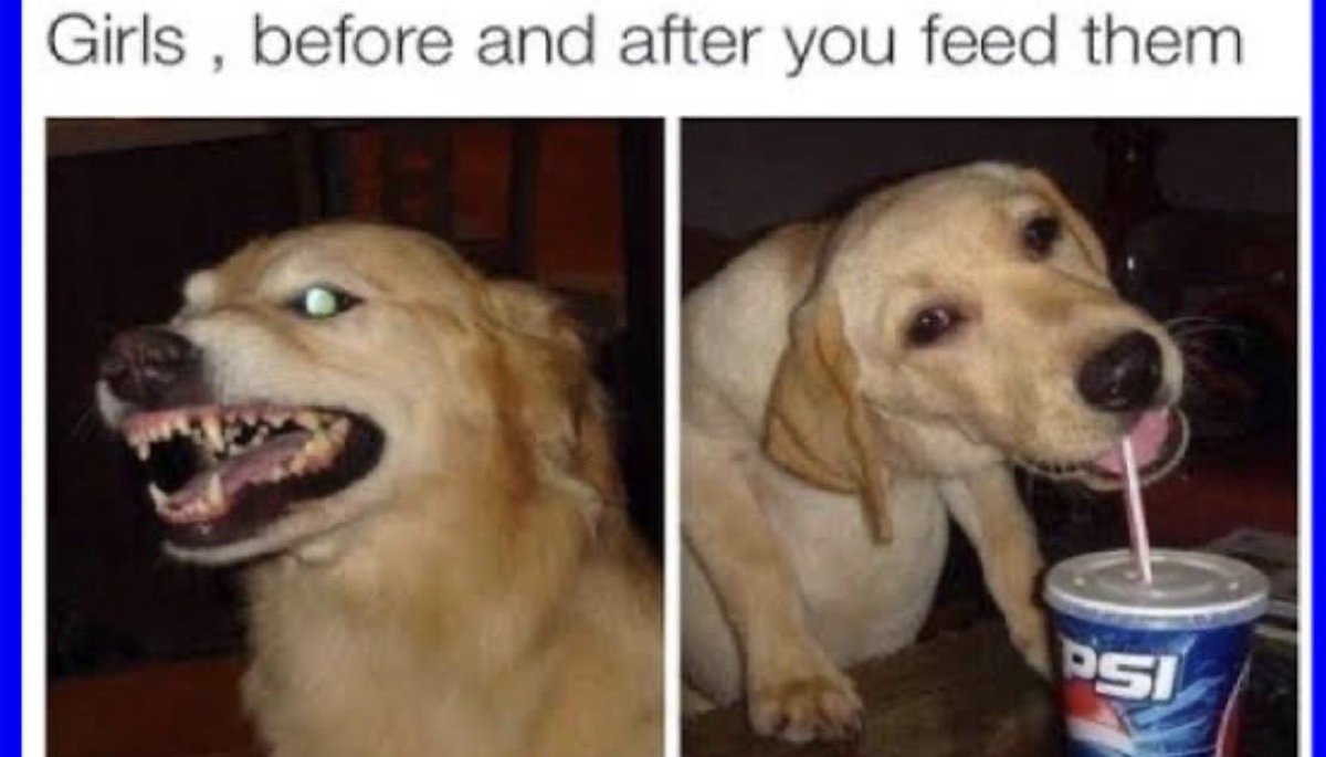 Kelli Sheppard tweet media