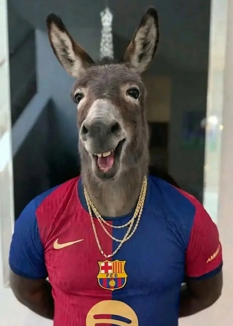 𝔄𝔫𝔥𝔢𝔩𝔩 𓃵 tweet media