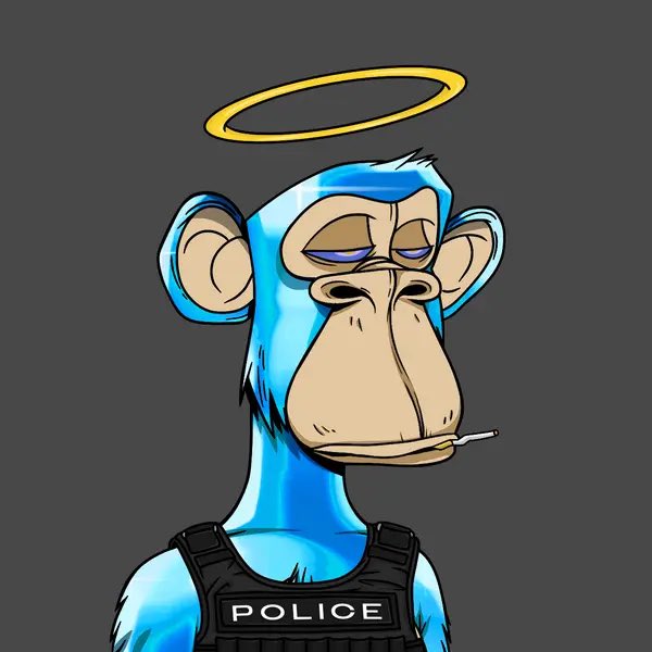 peterquagmir 🦍 tweet media