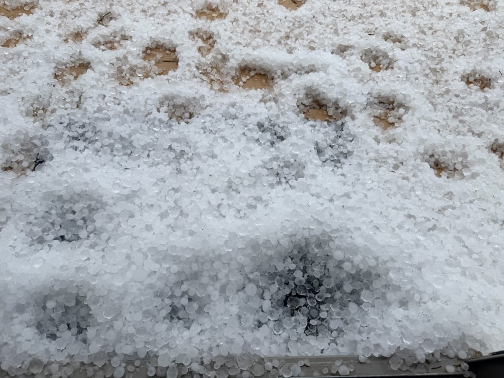WGRZ's tweet photo. Viewer submitted photo of hail in Ashford, NY near Peters Rd exit of 219. Share your photos with us! They may be used on air and online. #BeOn2 https://t.co/CHu87vfaPB