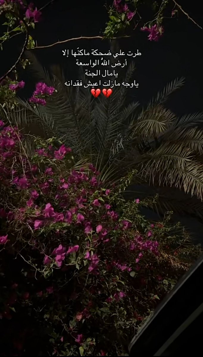 صـــمت tweet media
