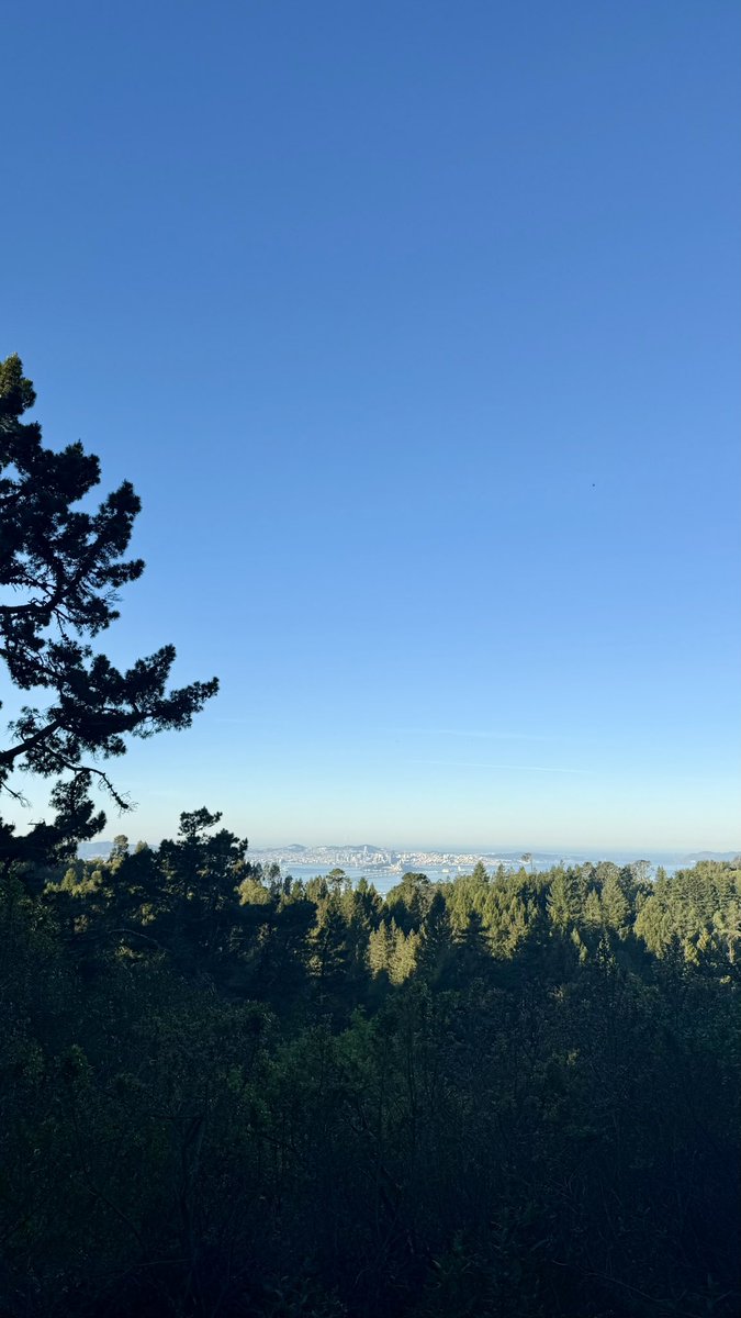 preeti ♥️ tweet media