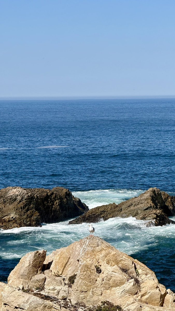 preeti ♥️ tweet media