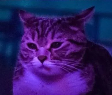 TimeStealer tweet media