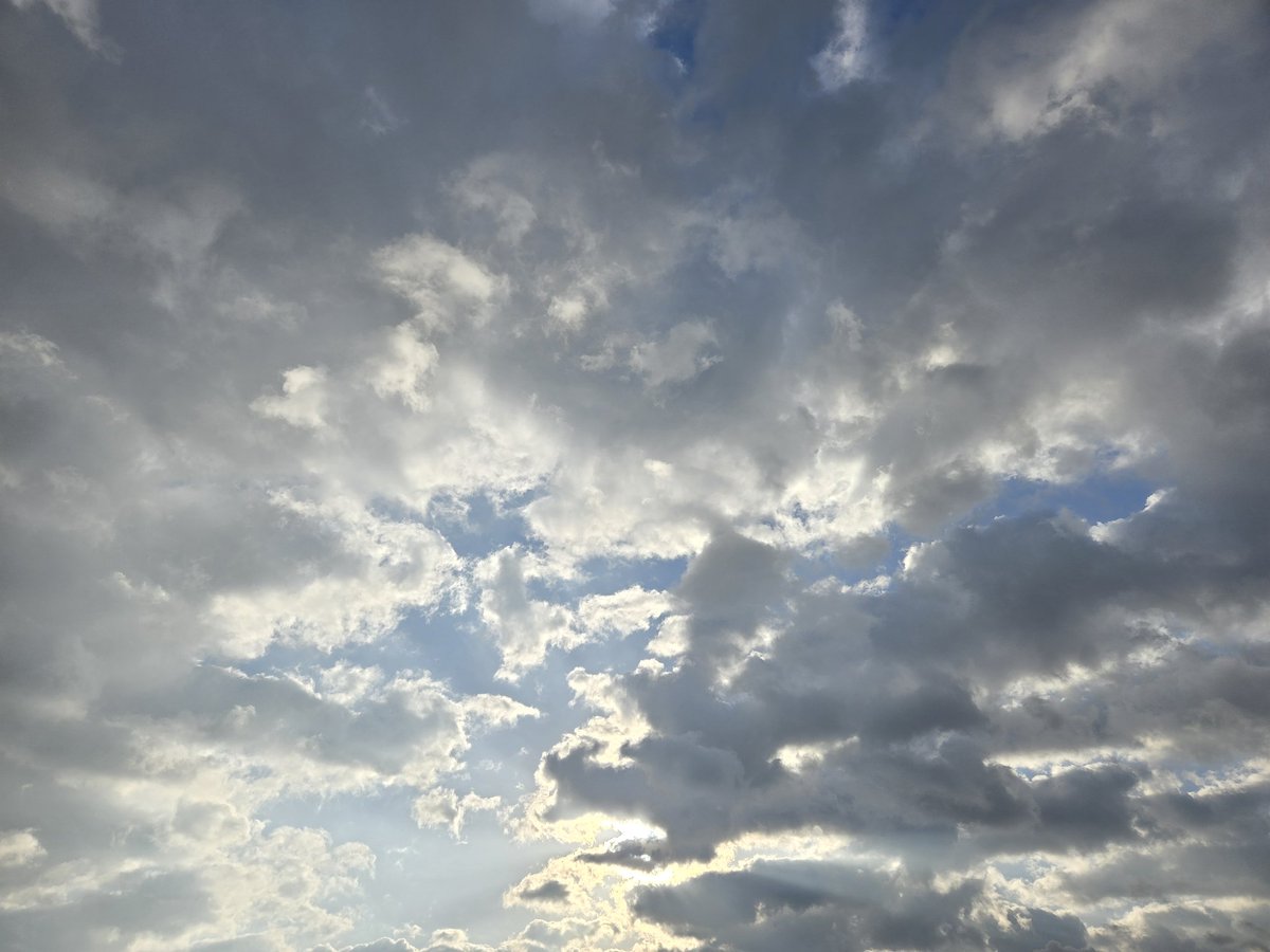 Ynana216 tweet media