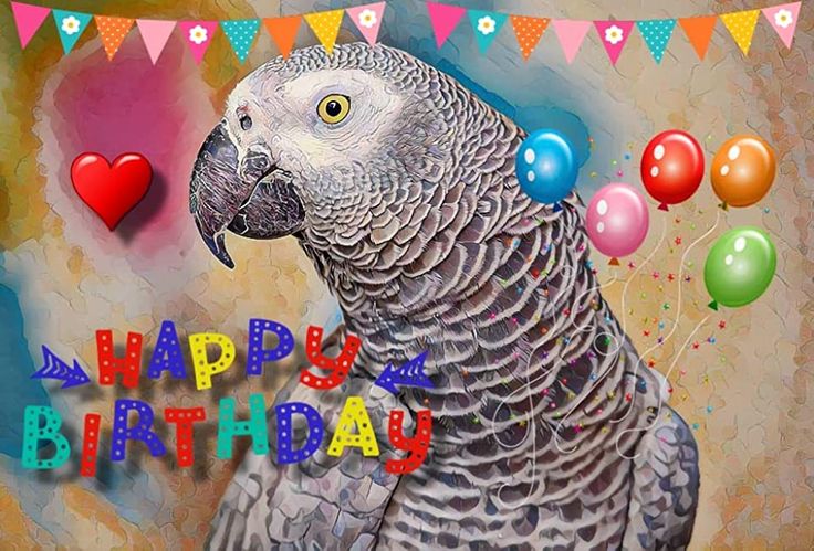 Rugger Ultras 🐦🐥🦉 tweet media