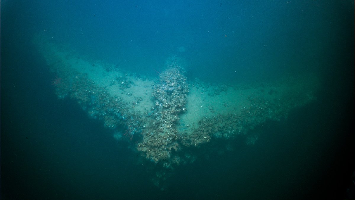 Bureau of Ocean Energy Management tweet media