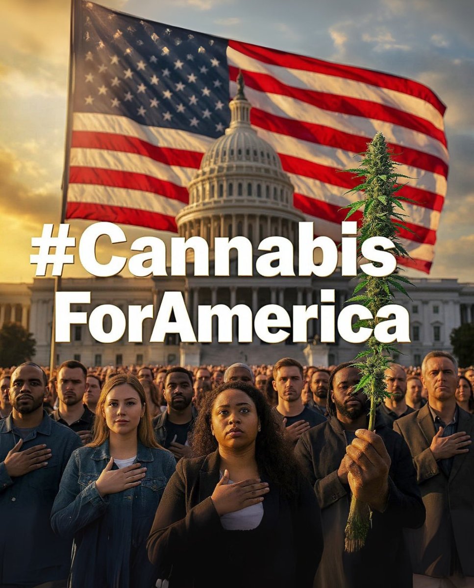 William Jonathan tweet media