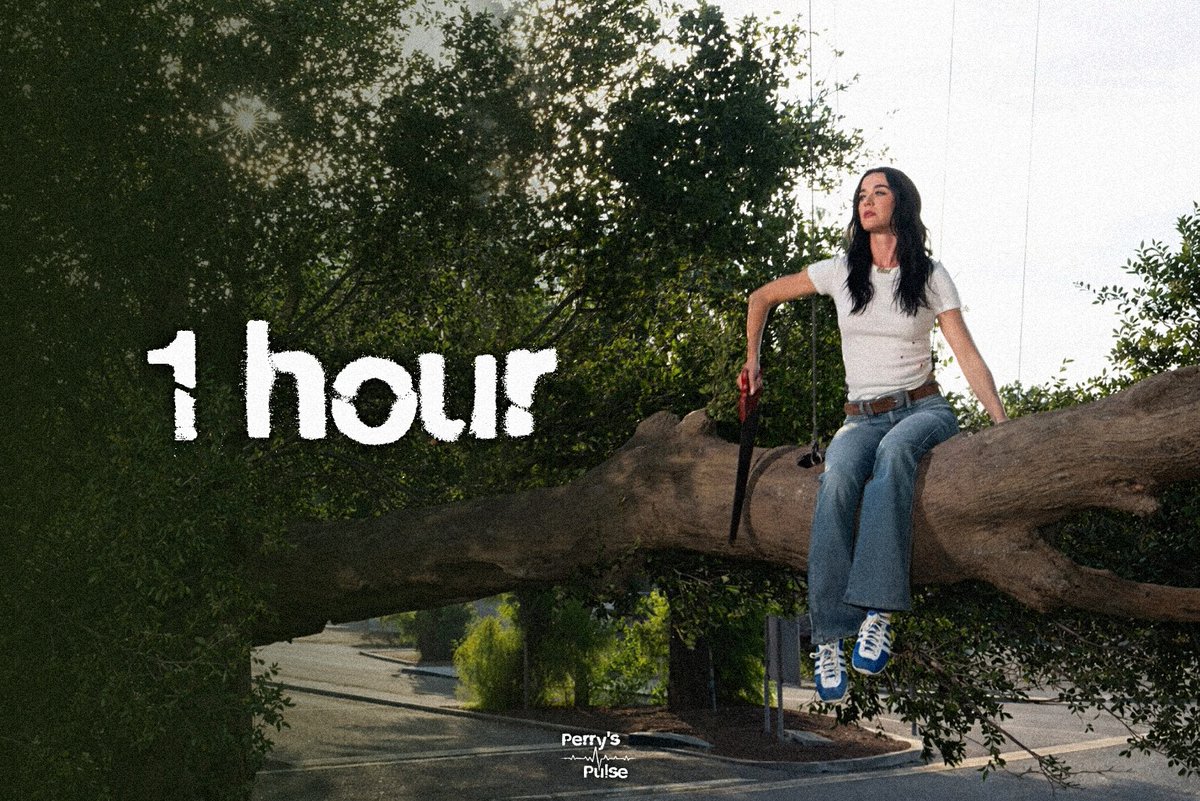 Perry's Pulse tweet media