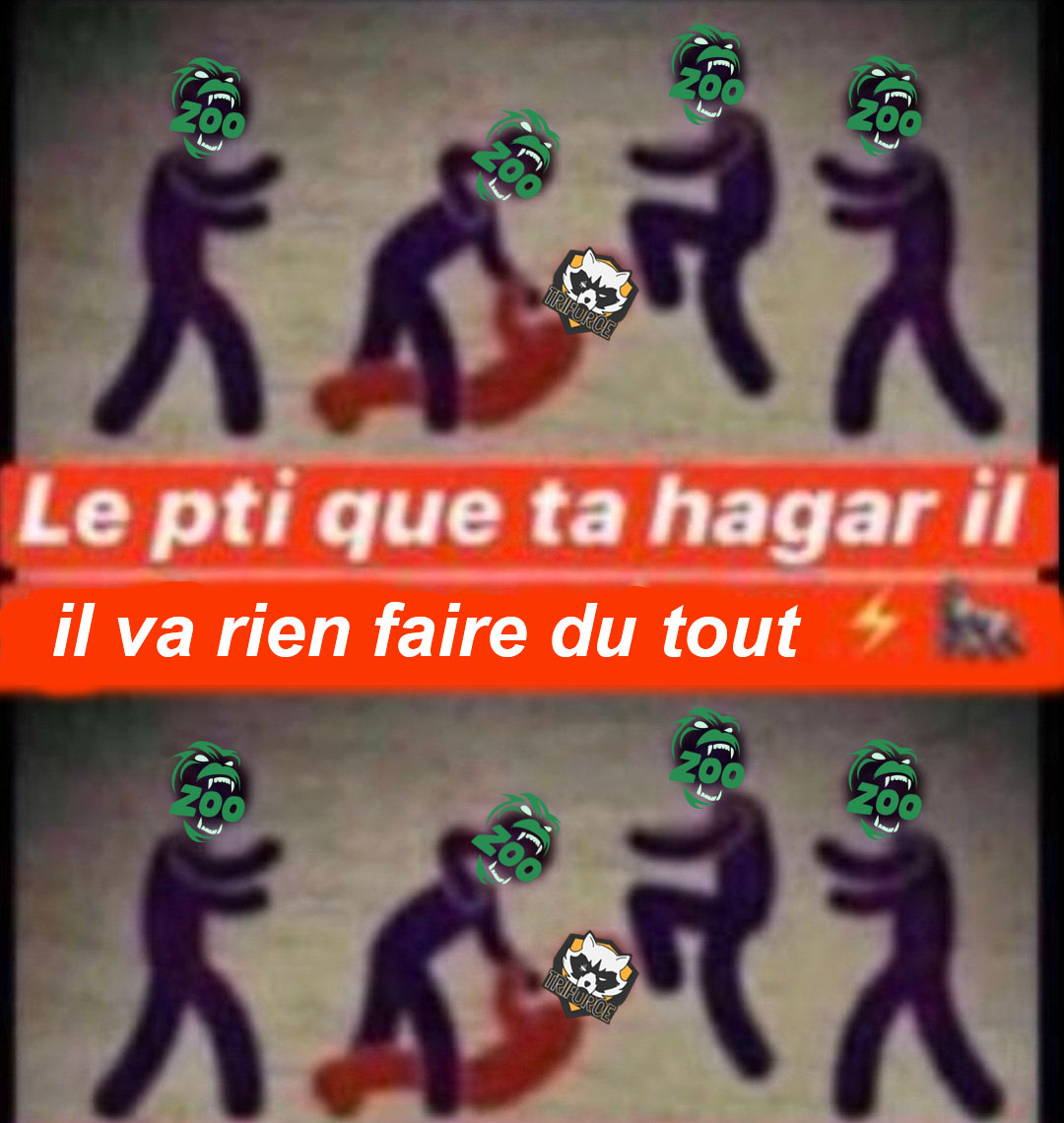 Le ZOO esport tweet media