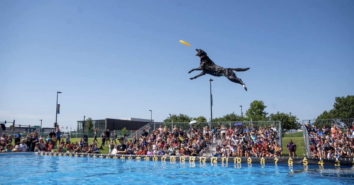 The Canine Stars tweet media