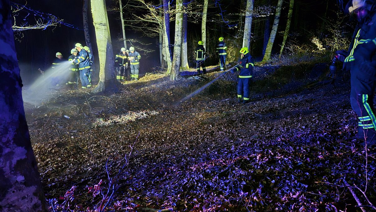 Janko Metelko tweet media