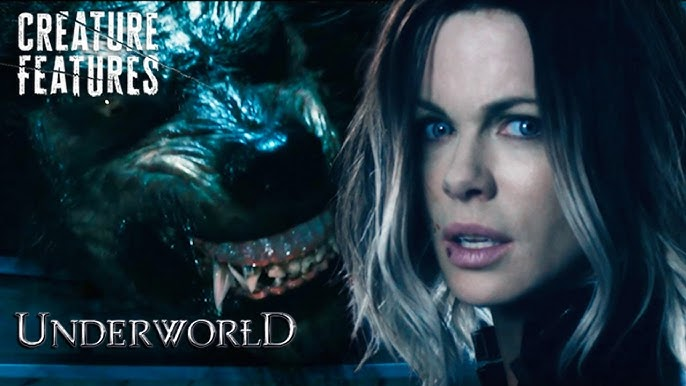 🇦🇱 Dukagjini 🇦🇱 tweet media