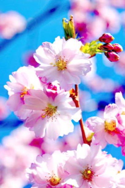 風のりんたろう 🪐🌞㊗️はおやすみします❕ tweet media