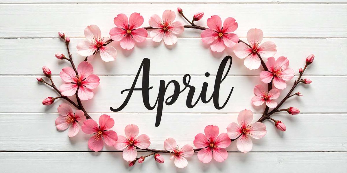 Paramount H.V. tweet media