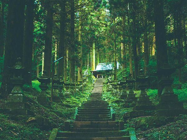 しんぱぱ｜佐賀×旅 tweet media