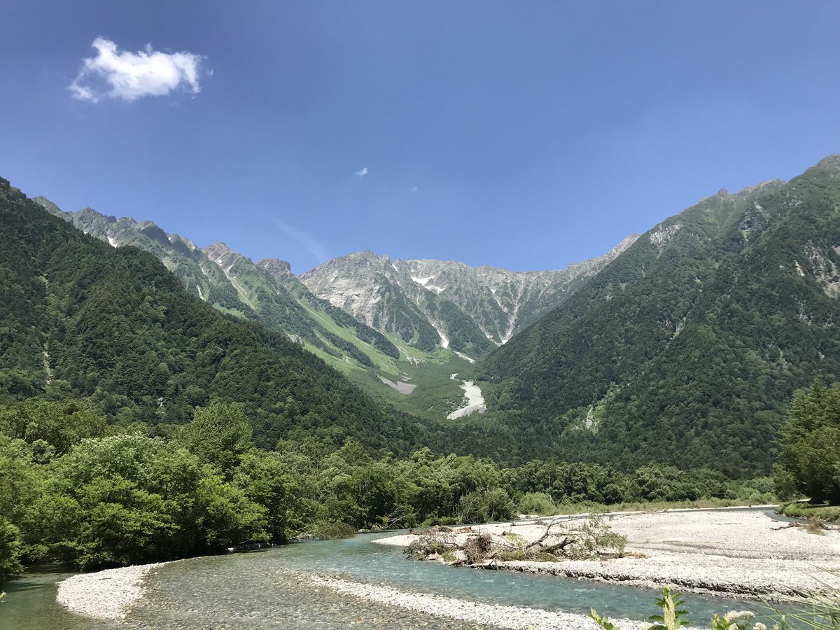 ゆっくり🌸🌸 tweet media