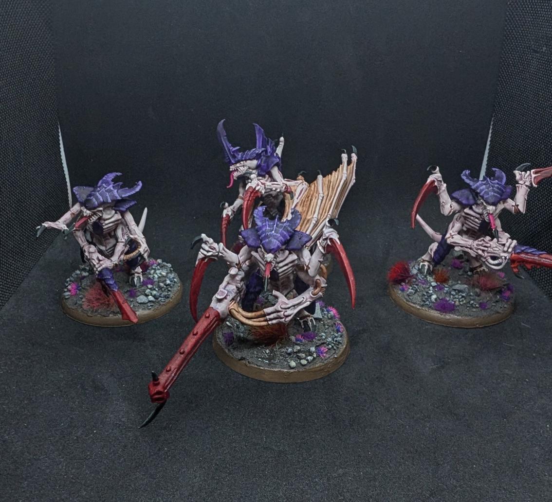 Sobek 🐊 tweet media