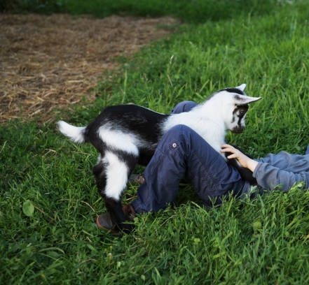 Agostina ♥️🪣 tweet media