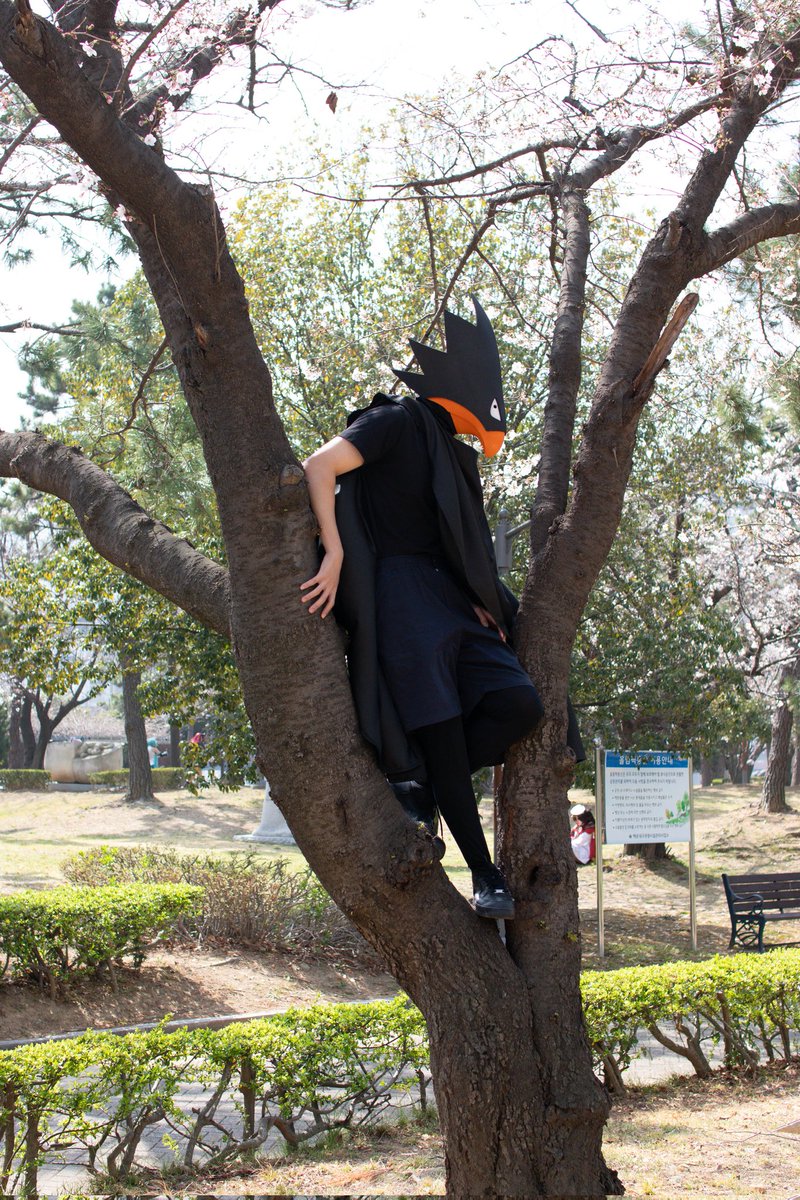 밤톨이 tweet media