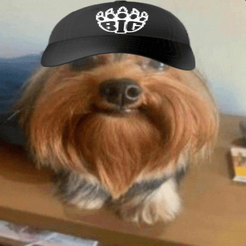 beefquaker96 tweet media