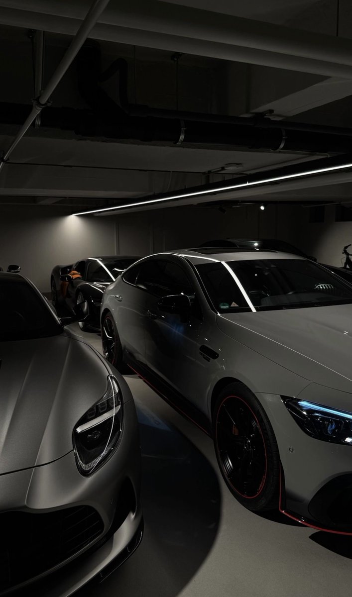 Bruca 🎪 tweet media