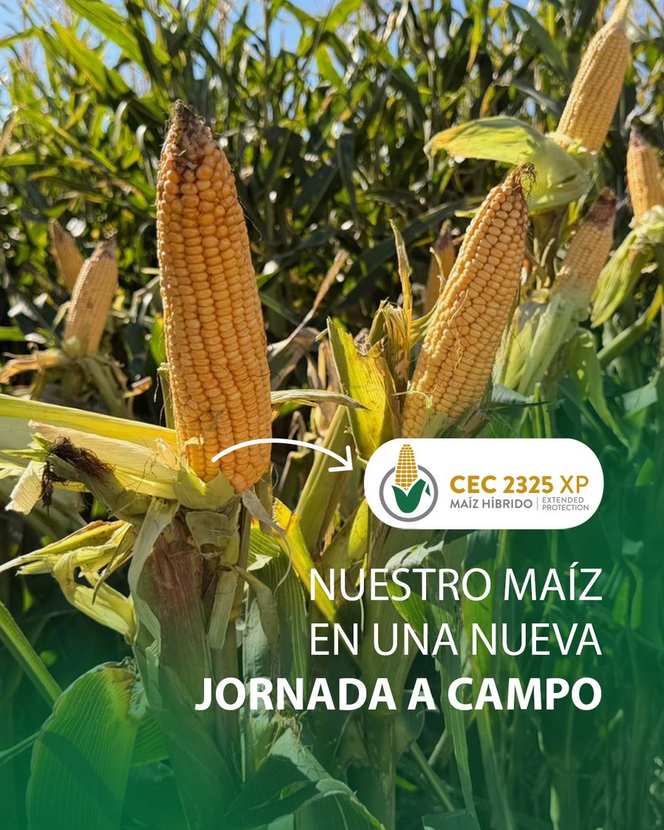 Criadero El Cencerro tweet media