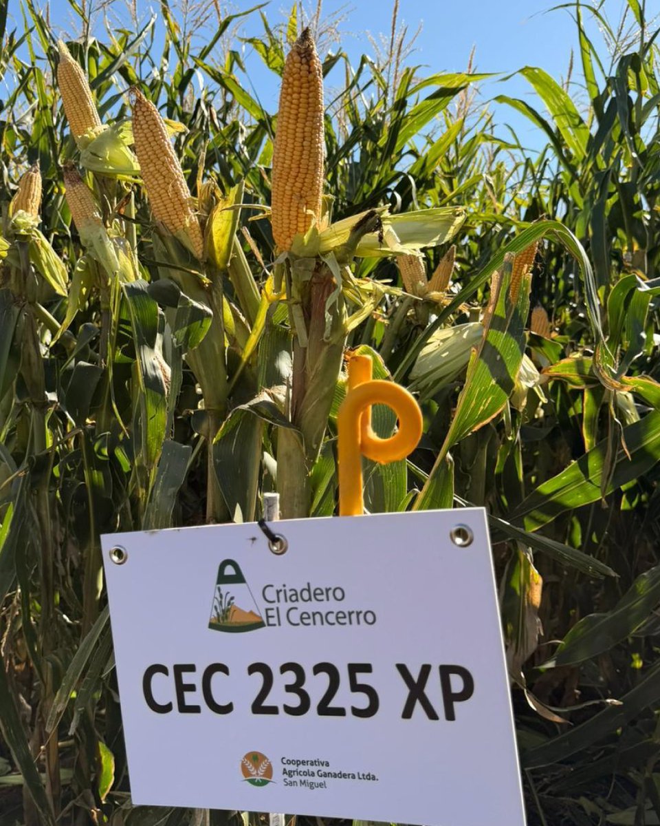 Criadero El Cencerro tweet media