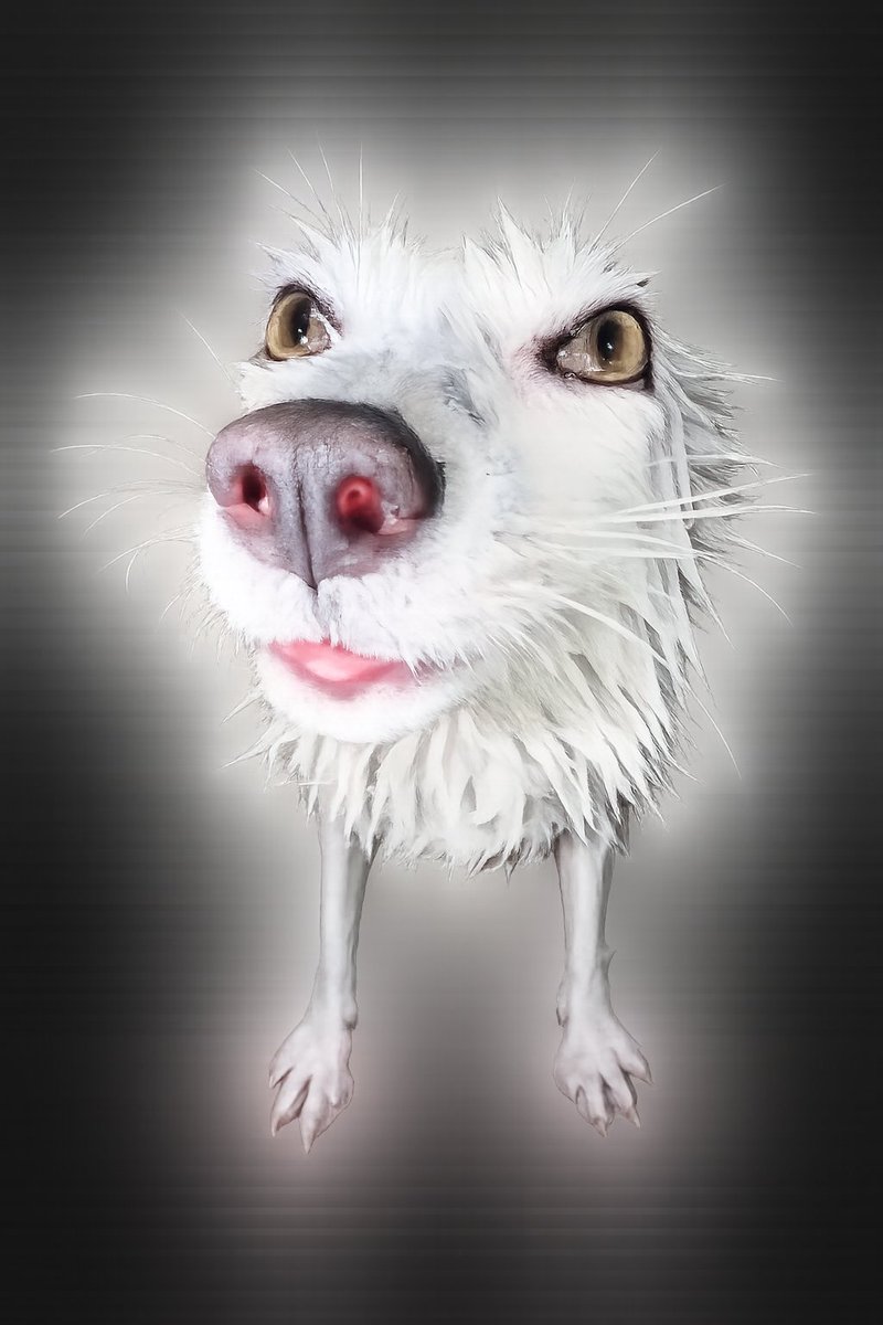 ฿ØØ₦Ɇ฿łØ₦ł₵₴ tweet media