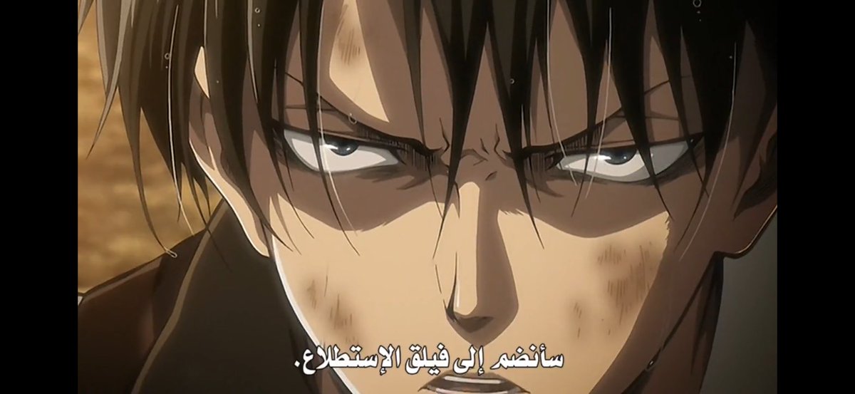 Aurora ⚘ tweet media