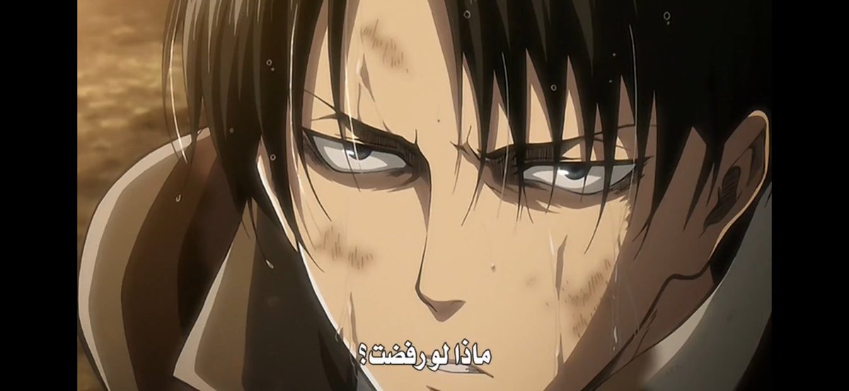 Aurora ⚘ tweet media