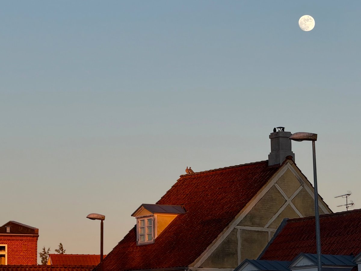 Asude Erdoğmuş tweet media