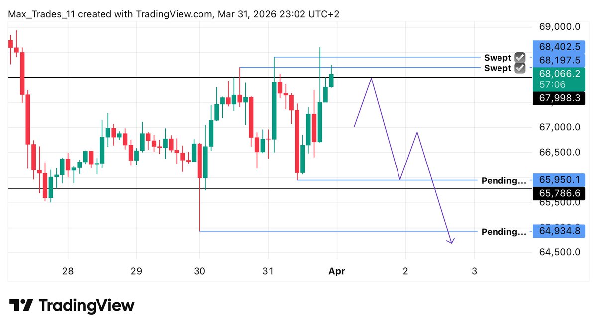 Max Trades tweet media