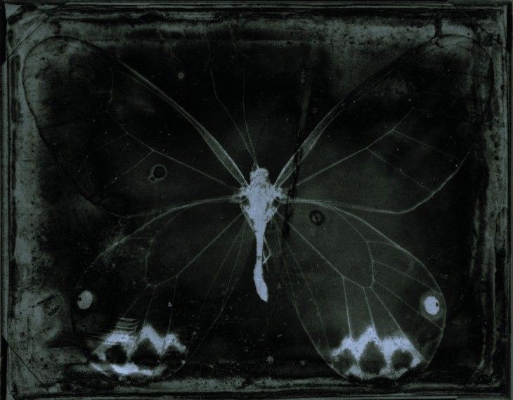 Jakeline Wiliane tweet media