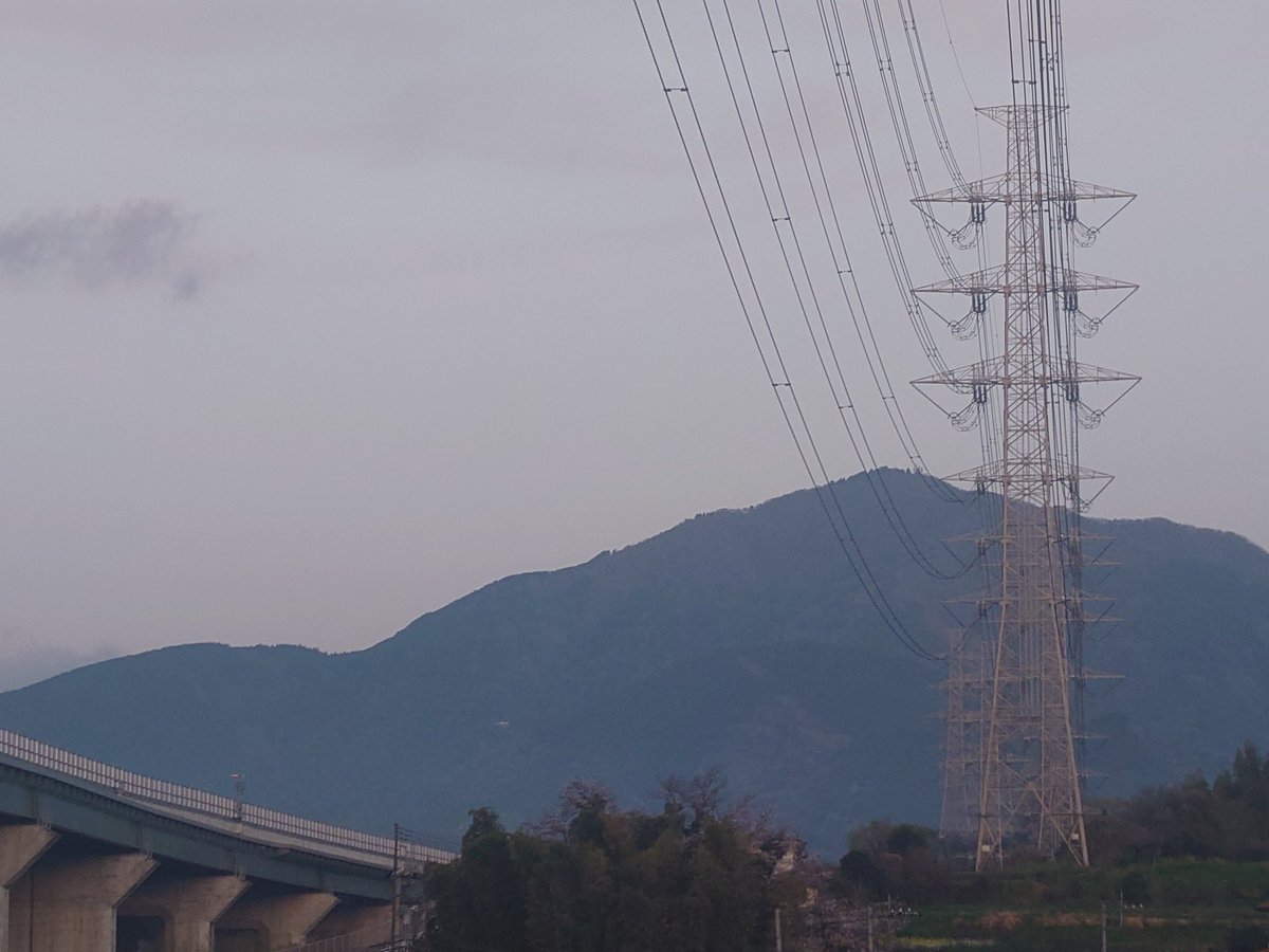 ルル@黒の森猫（里山低山徘徊） tweet media