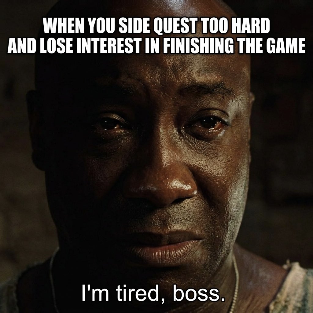 Rino🚀 tweet media