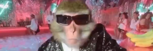 Esoteric Monkeys tweet media