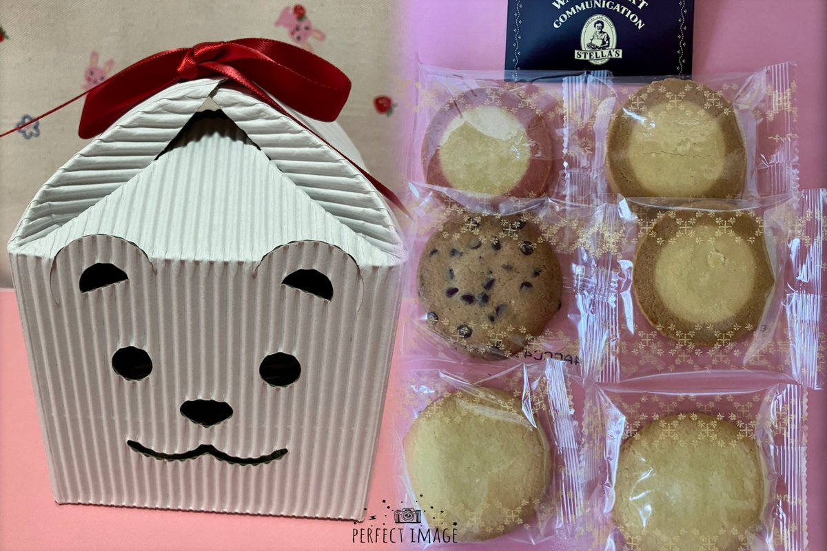 マリン☕🐴 tweet media