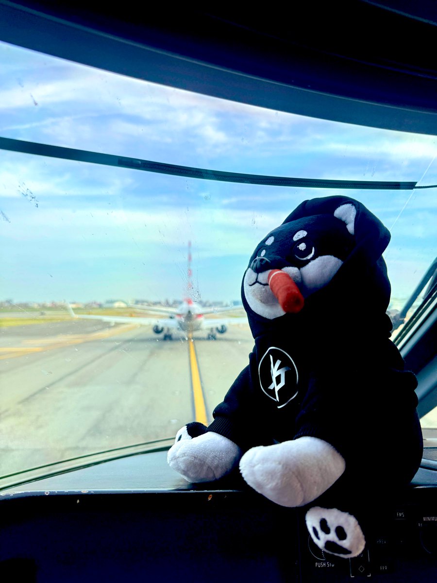 StackThe$DOG tweet media