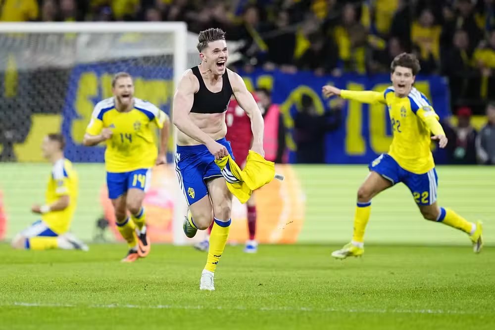 🇸🇪 tweet media