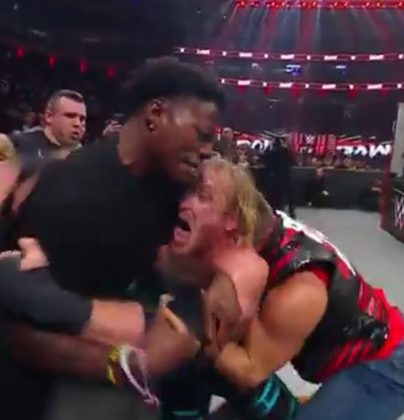 thecollection tweet media