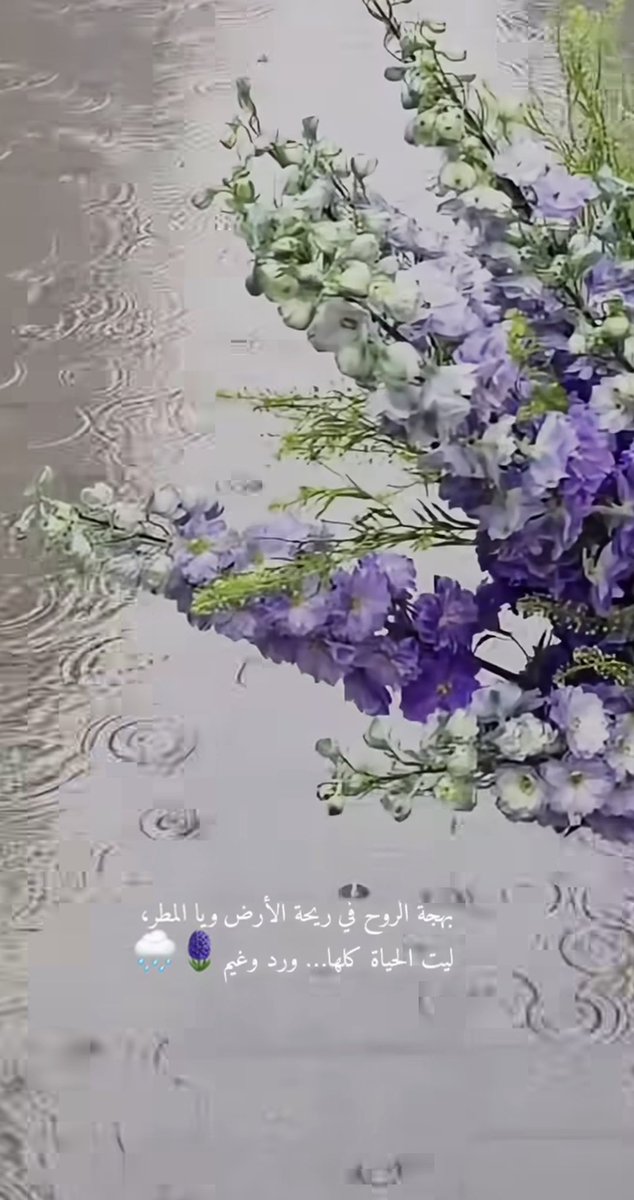 سلمى tweet media