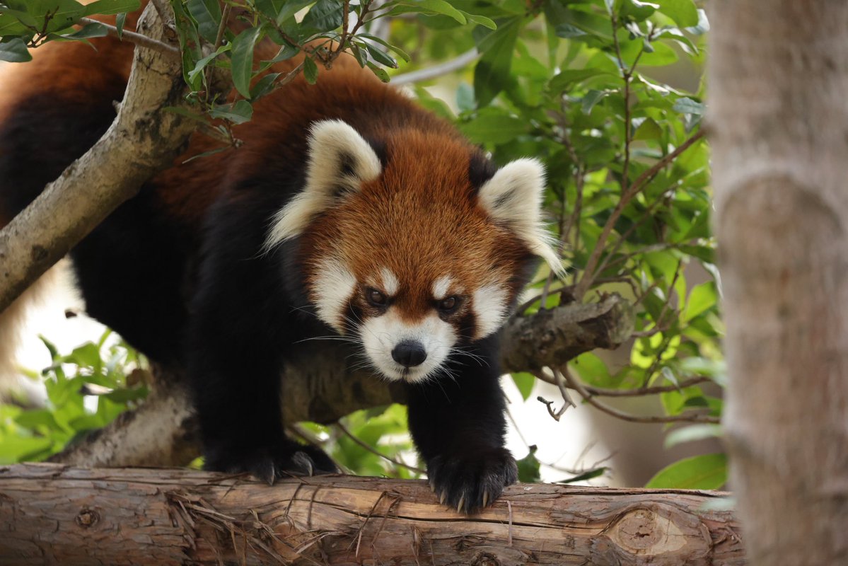 もやとっくん tweet media