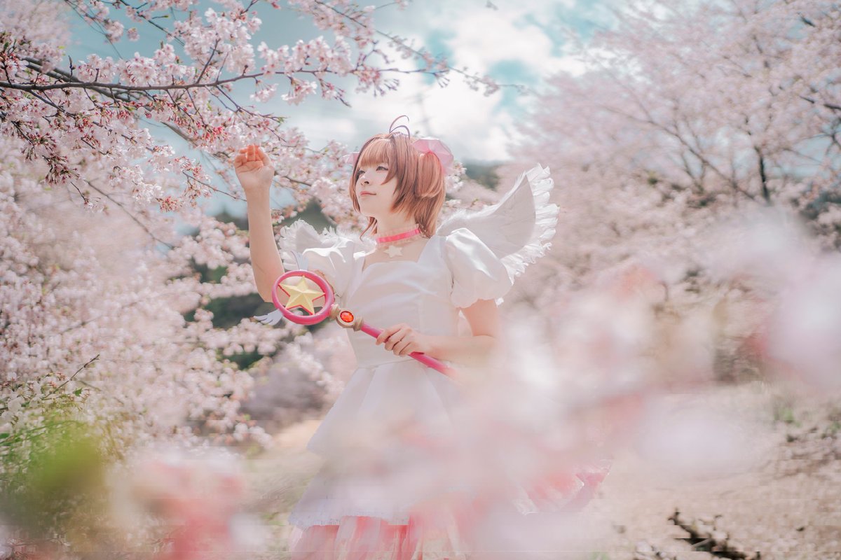 兎桜丸🐇 tweet media